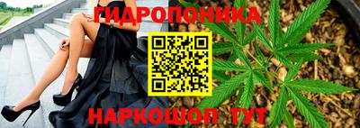 спиды Гусь-Хрустальный