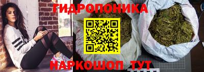 гашиш Гусиноозёрск