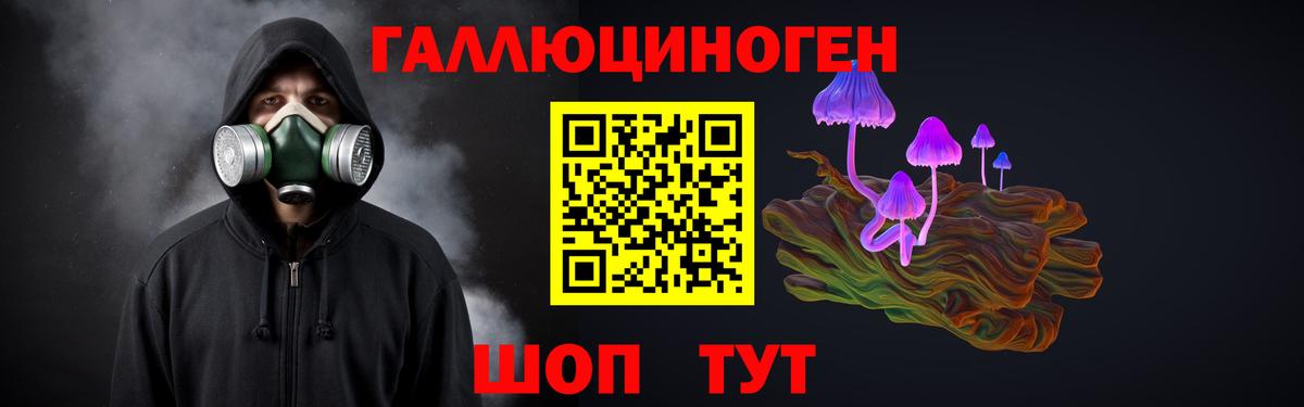 Псилоцибиновые грибы Psilocybine cubensis Лысьва